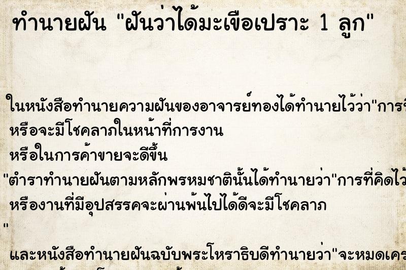 ทำนายฝันฝันว่าได้มะเขือเปราะ1ลูก ทำนายฝันทำนายฝันฝันว่าได้มะเขือเปราะ1ลูก